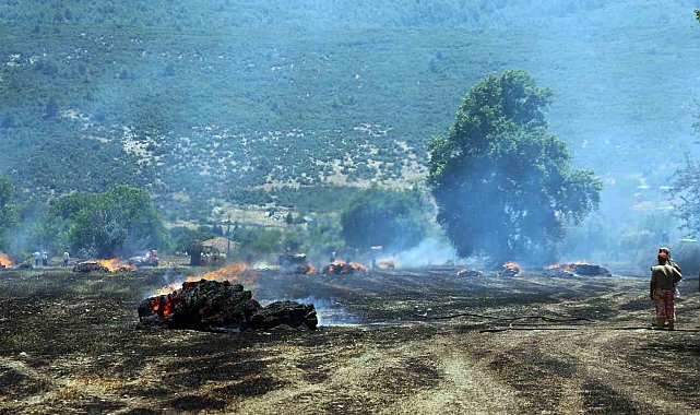 Tonlarca saman balyası yandı