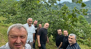Trabzon'da fındıkta rekolte tespiti çalışmaları başladı