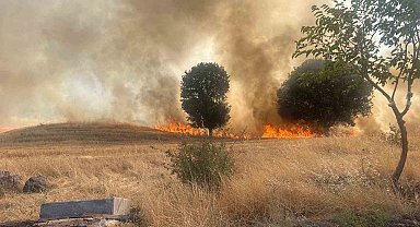 Trafo yangını ağaçlık alanı yok etti