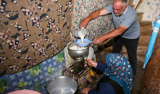 Tuluk peynirleri mağaraya dinlenmeye bırakıldı
