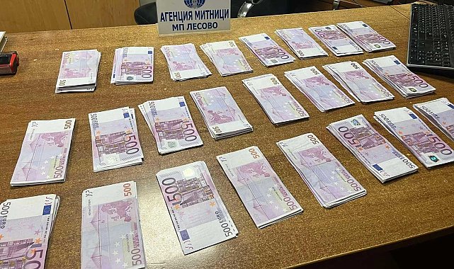 Türk vatandaşı ceplerine sakladığı 150 bin euroyla yakalandı