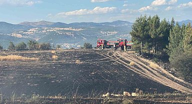 Uşak'ta ormanlık alana sıçrayan yangın söndürüldü