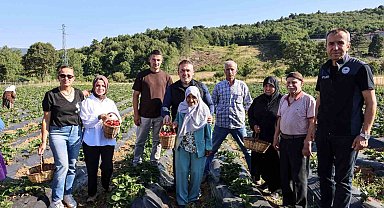 Vali Sözer, huzurevi sakinleriyle çilek hasadı yaptı