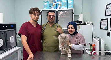Veterinerde deprem etkisi yapan kedi Türkiye'nin gündeminde