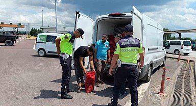 Yalova'da 3 ton kaçak midye ele geçirildi