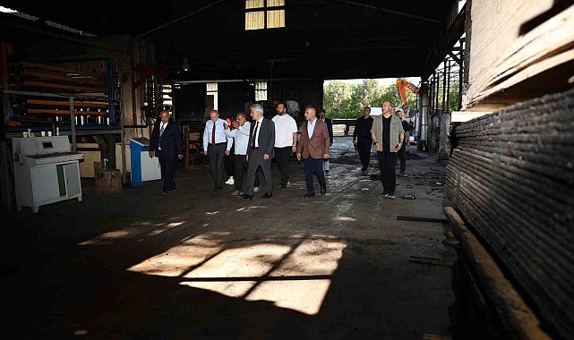 Yanan orman ürünleri fabrikasında inceleme
