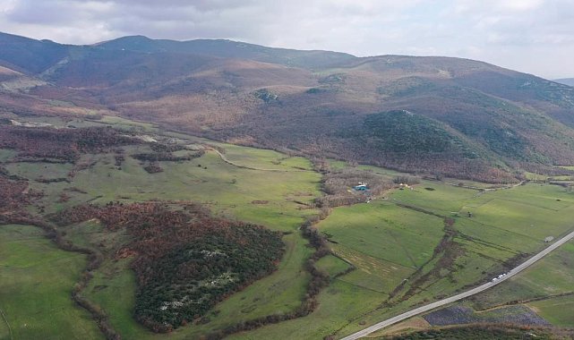 Yenişehir Burcun'a yapılacak çimento fabrikasını yargı durdurdu