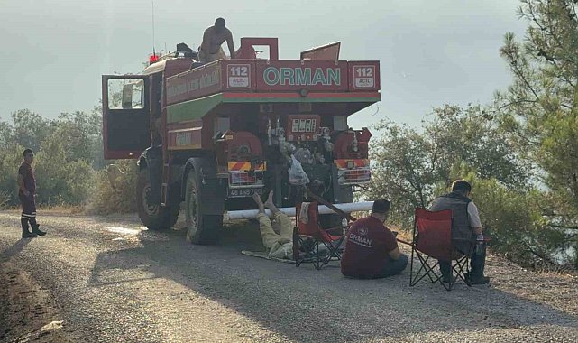 Yeşil vatan için ateşe yürüdüler, sabahı küle bulanmış yüzlerle karşıladılar