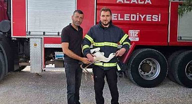Yuvasında mahsur kalan leyleği itfaiye kurtardı