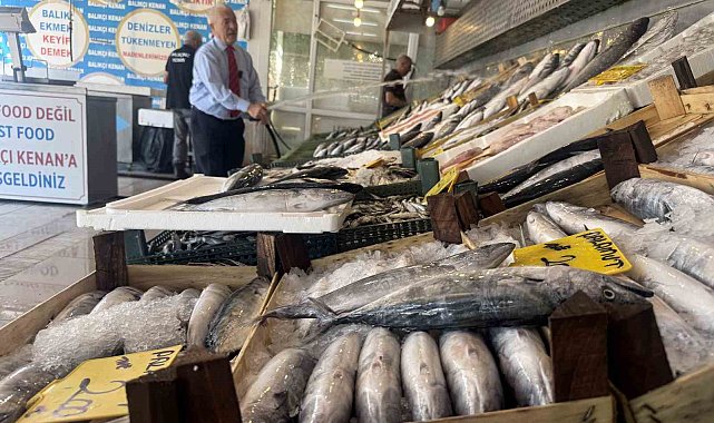 1 Eylül'den sonra denizlerde Palamut Bolluğu işareti