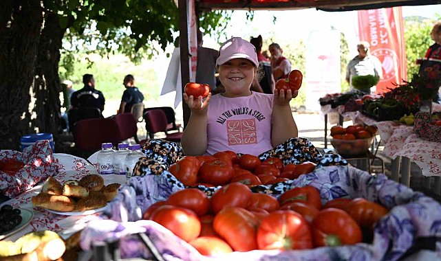 'Yamanlar Tarla Domatesi' üreticileri 'Tarla Günü' etkinliğinde buluştu