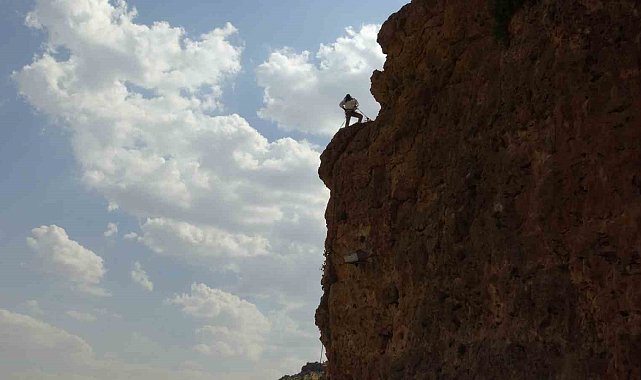 600 metre yüksekliğinde sınırları aşan hasat: Gercüş'ün cesur arıcısı iş başında