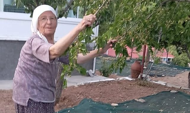 85 yaşındaki çift, geleneksel yöntemlerle dut pekmezi üretimini sürdürüyor