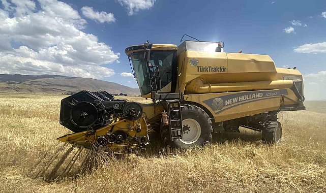 Ağrı'da buğday biçme sezonu başladı