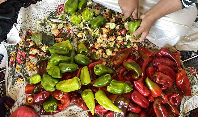 Ağrı'da kış hazırlıkları başladı: Kapya biberler ipe diziliyor