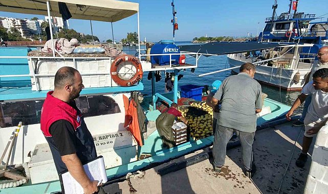 Akçakoca'da balıkçılar sezona hızlı başladı