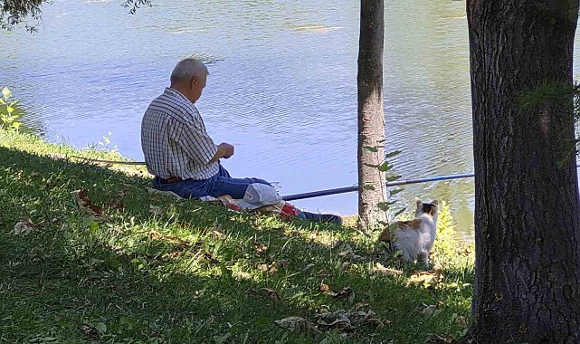 Akıllı sokak kedisi balık tutan adamın başından ayrılmadı