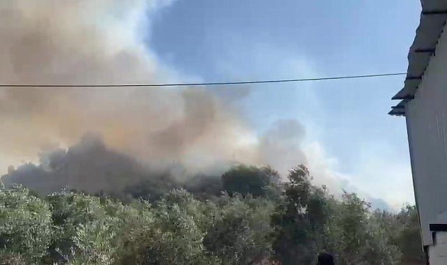 Aksu'da ormanlık ve zeytinlik alanda yangın