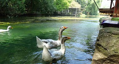 Akyaka'yı aratmayan Bucak Vadisi doğaseverlerin gözdesi