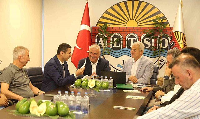 Alanya avokadosunun Avrupa Birliği coğrafi işaret başvurusu gerçekleştirildi
