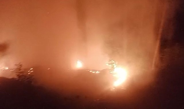 Alanya'da ormanlık alan yangınında 2 dönüm alan zarar gördü
