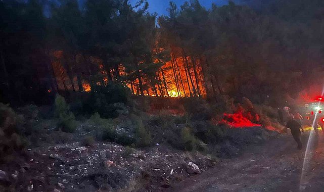 Alanya'da ormanlık alanda çıkan yangın kontrol altına alındı