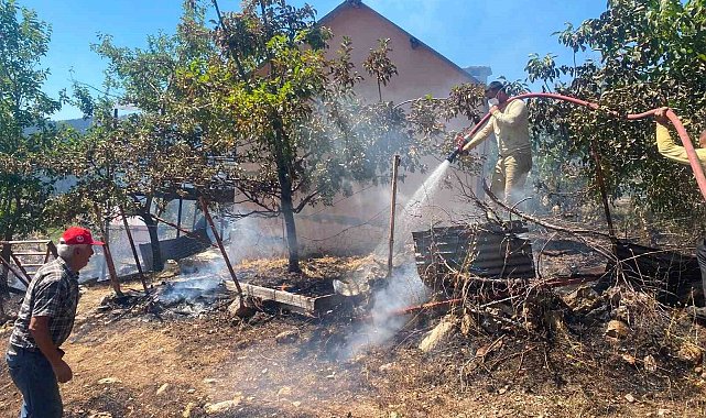 Alanya'da zirai alan yangınında 4 dönüm alan zarar gördü