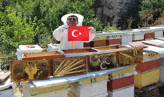 Amasya'da arıların seçimi sonuçlandı