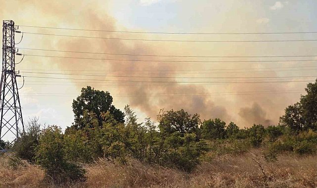 Anız yangını ormana sıçradı, ekipler seferber oldu