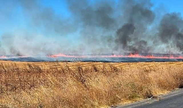 Anız yangınında yaklaşık 25 dönüm arazi küle döndü