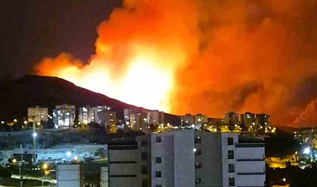 Ankara'da ağaçlık alanda yangın