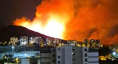 Ankara'da ağaçlık alanda yangın
