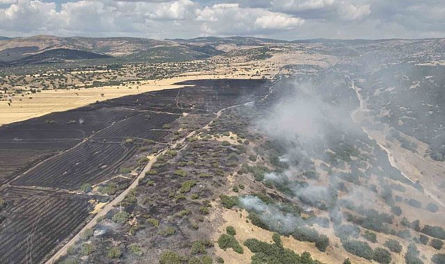 Ankara'da arazi yangını