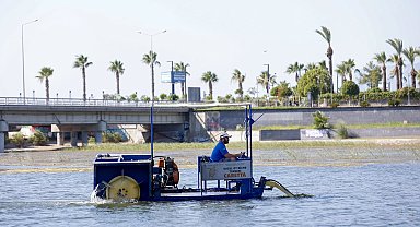Antalya Boğaçayı'nda doğal yaşam için sucul ot temizliği
