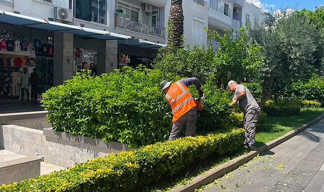 Antalya Büyükşehir'den Kemer'e çevre düzenleme