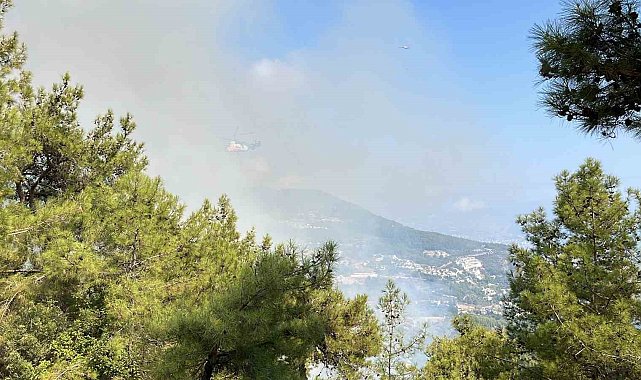 Antalya'da iki ilçede çıkan orman yangınına müdahale ediliyor