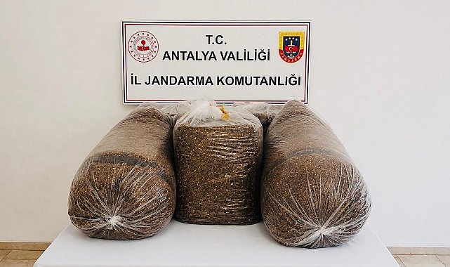 Antalya'da kaçak tütün operasyonunda 365 kilo tütün ele geçirildi