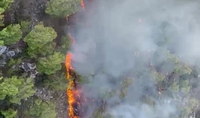 Antalya'da orman yangını
