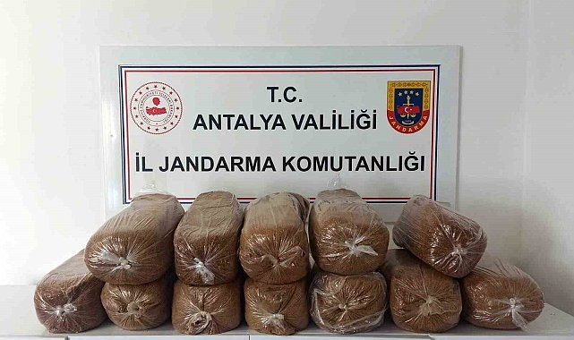 Antalya'da üç ilçede kaçak tütün operasyonu: 785 kilogram tütün ele geçirildi