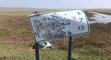 Arpaçay'da yol tabelalarını hedef tahtasına çevirdiler