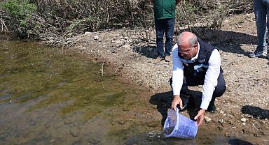 Atikhisar Barajı'na 348 bin sazan balığı yavrusu bırakıldı