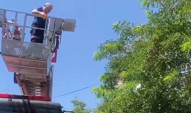 Ayağına dolanan ip kargayı mahsur bıraktı, itfaiye kurtardı