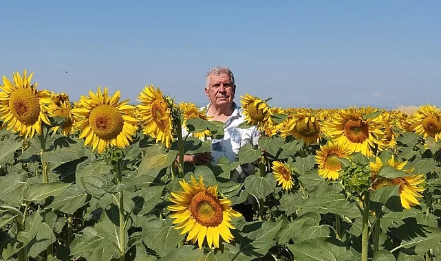 Ayçiçeği ve pirinç ithalatına Edirne'den tepki