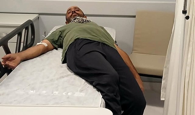 Ayı saldırısından kaçan şahıs, kayadan düşerek yaralandı