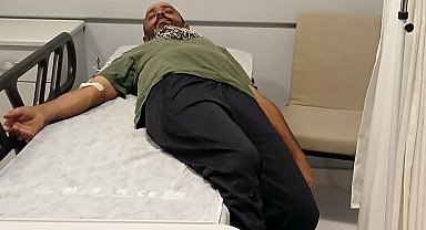 Ayı saldırısından kaçan şahıs, kayadan düşerek yaralandı