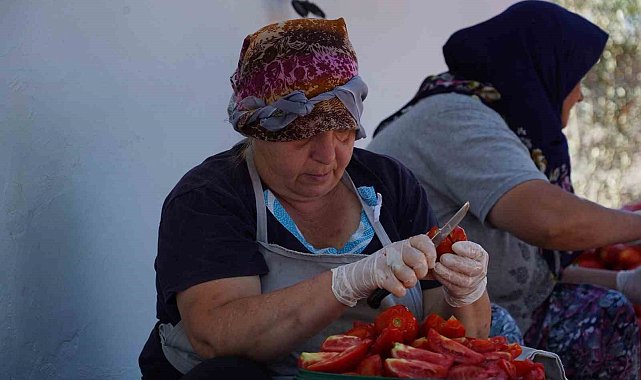 Ayvalık'ta güneş ile lezzet buluşuyor