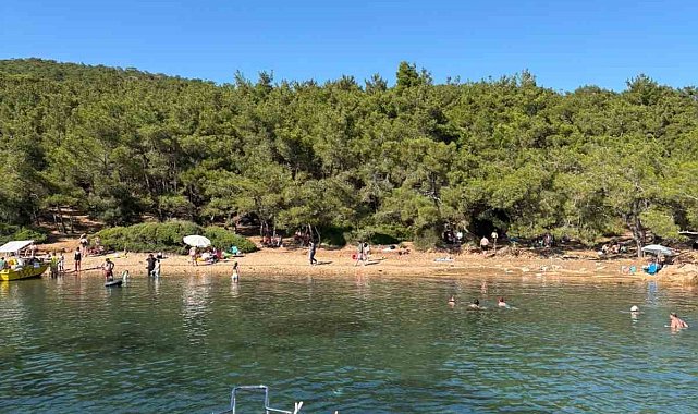 Ayvalık'ta ormanlara giriş yasak ama denetim yetersiz