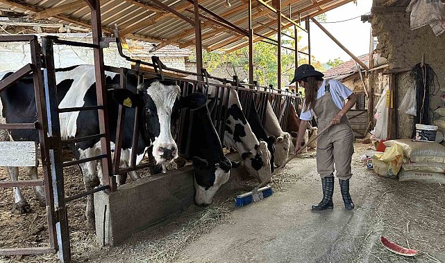 Babasının geçirdiği iş kazasıyla çiftliğin yükü omuzlarına bindi, o ise üretmekten vazgeçmedi