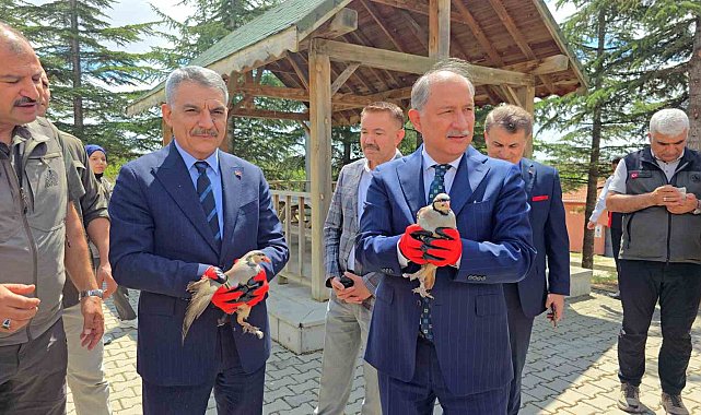 Bakan Yardımcısı Polat, 10 bin keklik kapasiteli tesisi inceledi