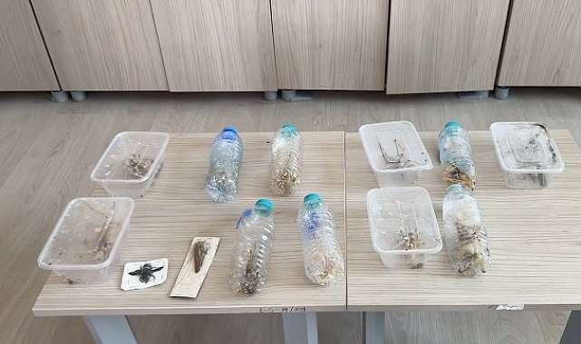 Bakan Yumaklı: "İzinsiz şekilde tür toplayıcılığı yapan 2 yabancı uyruklu şahsa 1,4 milyon lira idari para cezası uyguladık"